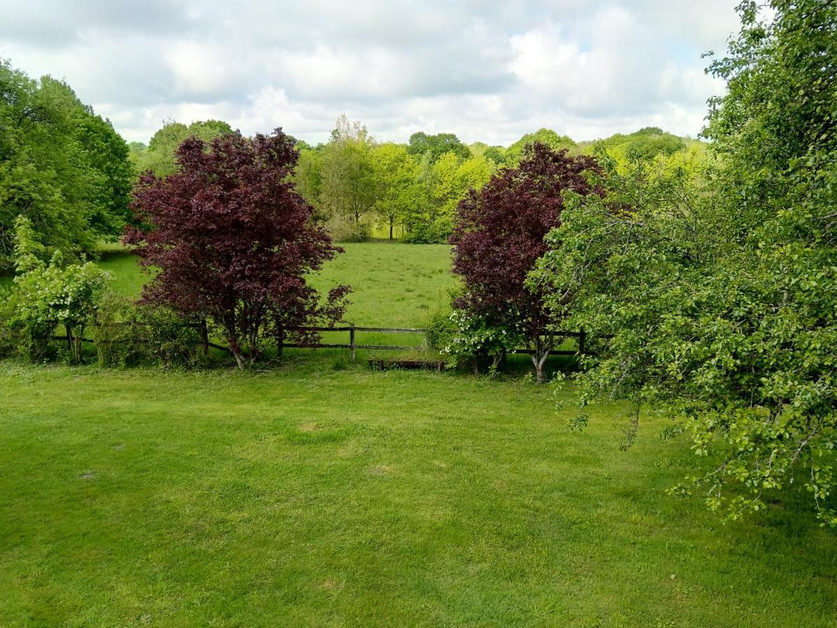 Bed and Breakfast La Jonquiere Bouloire Exterior foto