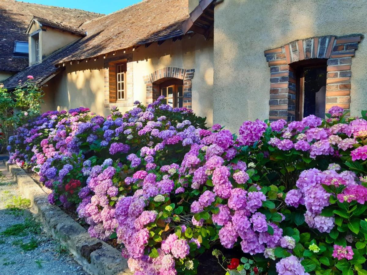 Bed and Breakfast La Jonquiere Bouloire Exterior foto