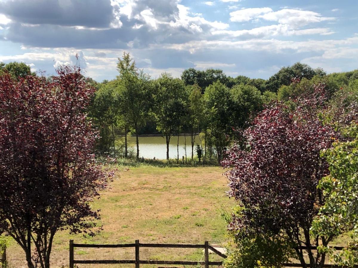 Bed and Breakfast La Jonquiere Bouloire Exterior foto